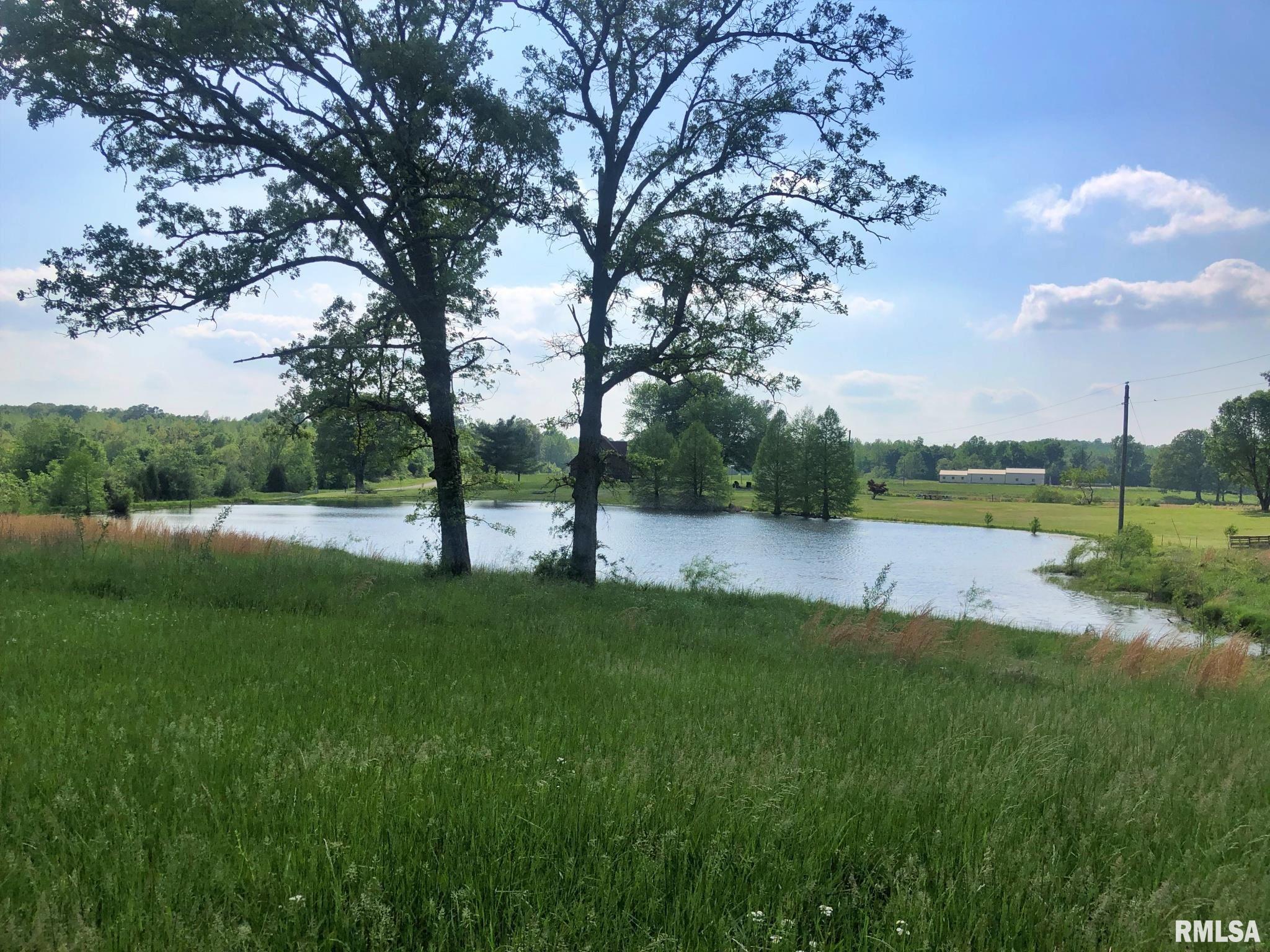 0 Fish Farm Road Golconda, IL 62938 - Photo 9 of 10 Gallery Image 9