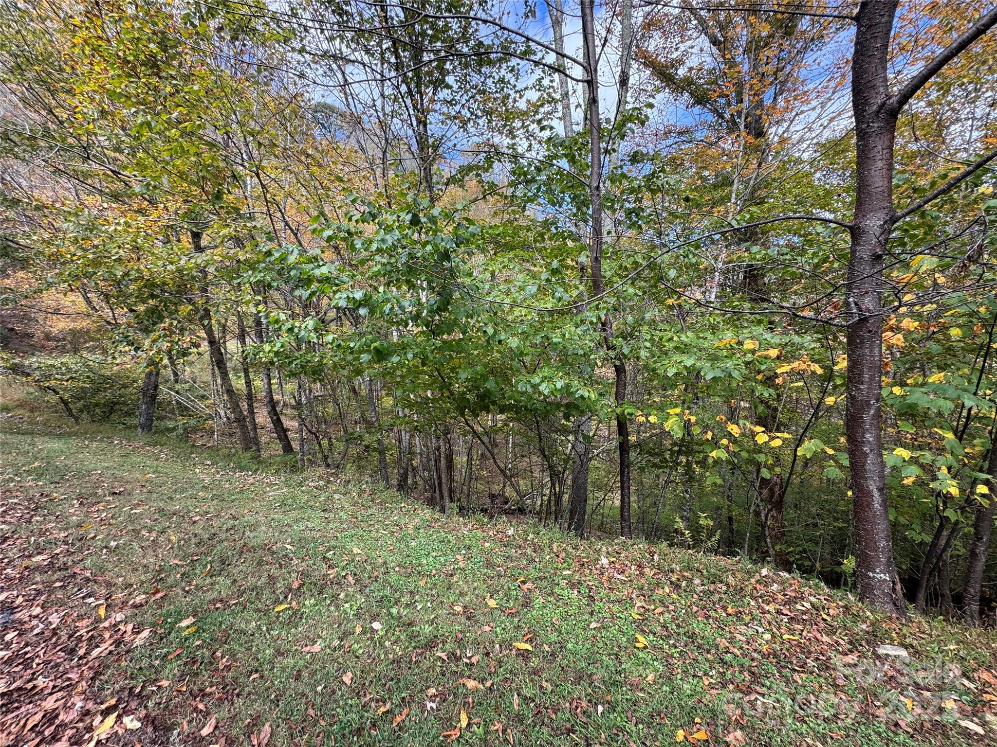 92 Goldenleaf Road Mars Hill, NC 28754 - Photo 1 of 23 a backyard of a house with lots of green space