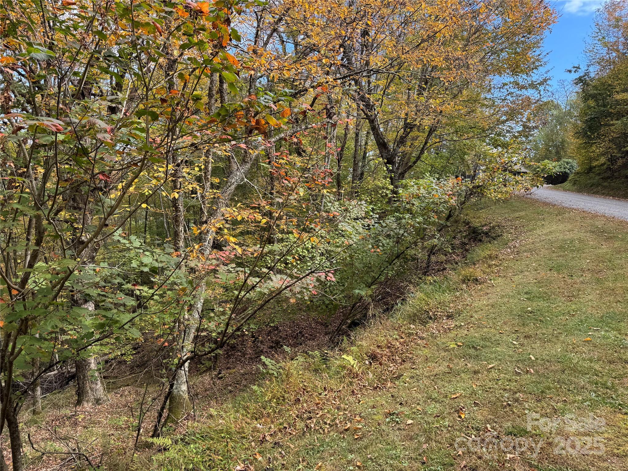 92 Goldenleaf Road Mars Hill, NC 28754 - Photo 2 of 23 a view of a yard with a tree