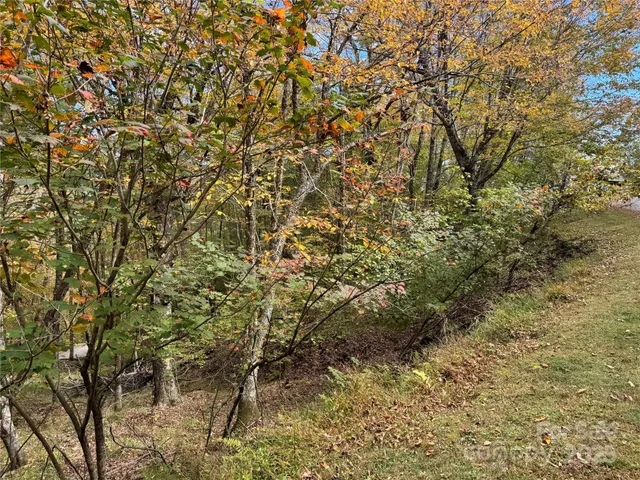 a view of a yard with a tree