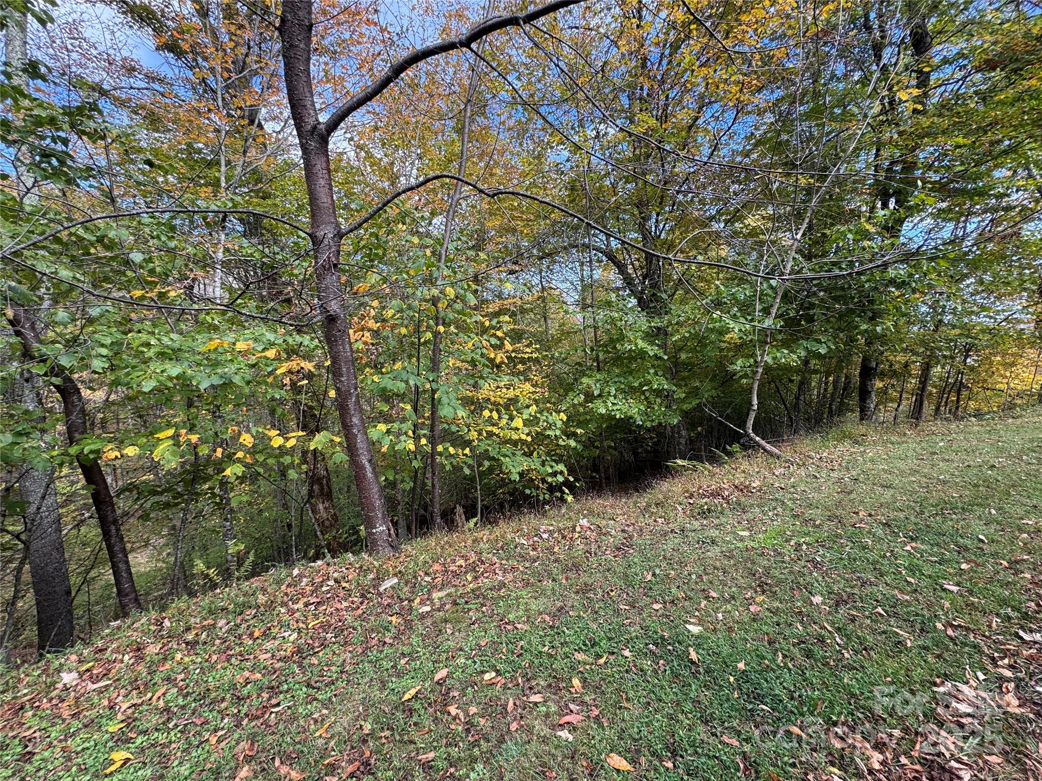 92 Goldenleaf Road Mars Hill, NC 28754 - Photo 4 of 23 a backyard of a house with lots of green space