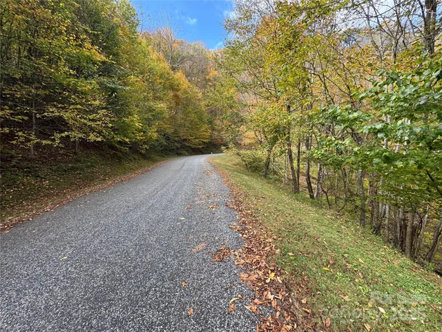 a view of a trees with a yard
