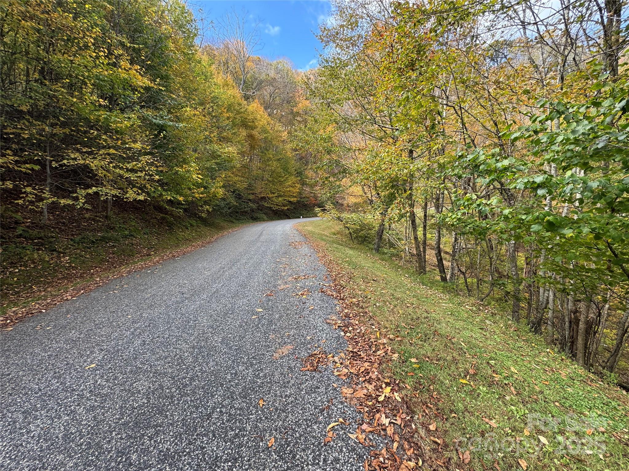 92 Goldenleaf Road Mars Hill, NC 28754 - Photo 7 of 23 a view of a trees with a yard