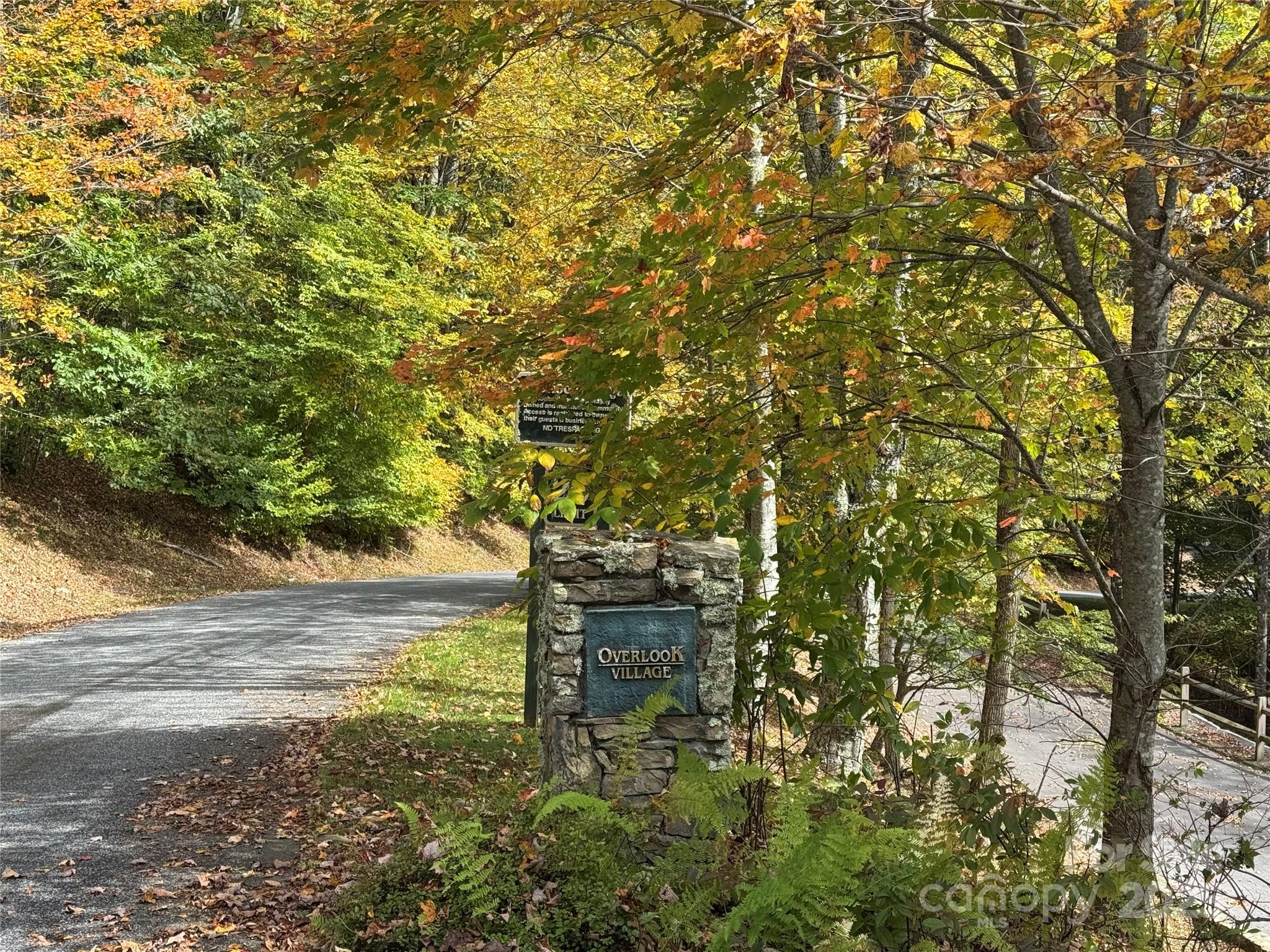92 Goldenleaf Road Mars Hill, NC 28754 - Photo 8 of 23 a backyard of a house with table and chairs