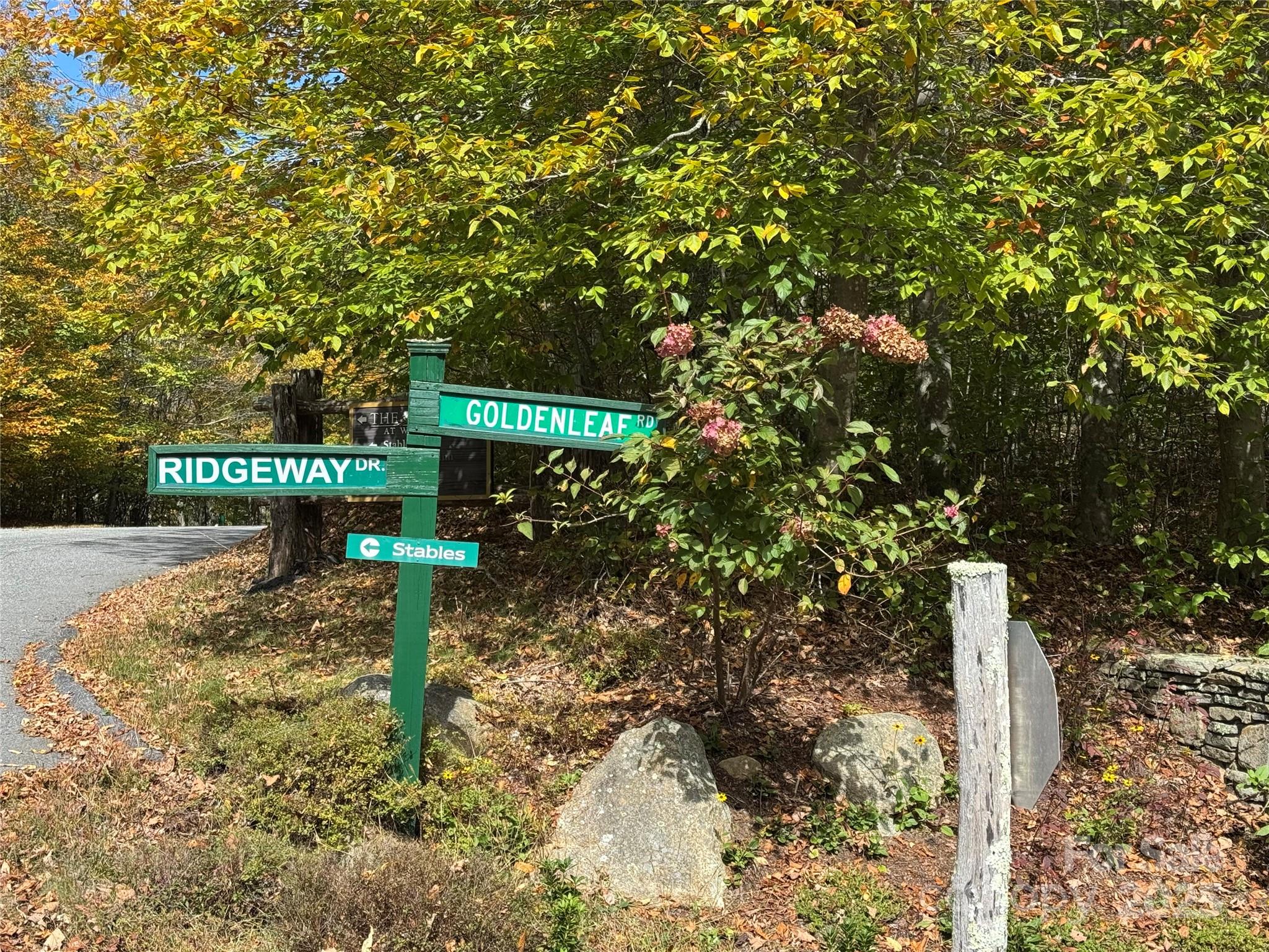 92 Goldenleaf Road Mars Hill, NC 28754 - Photo 9 of 23 a backyard of a house with lots of green space