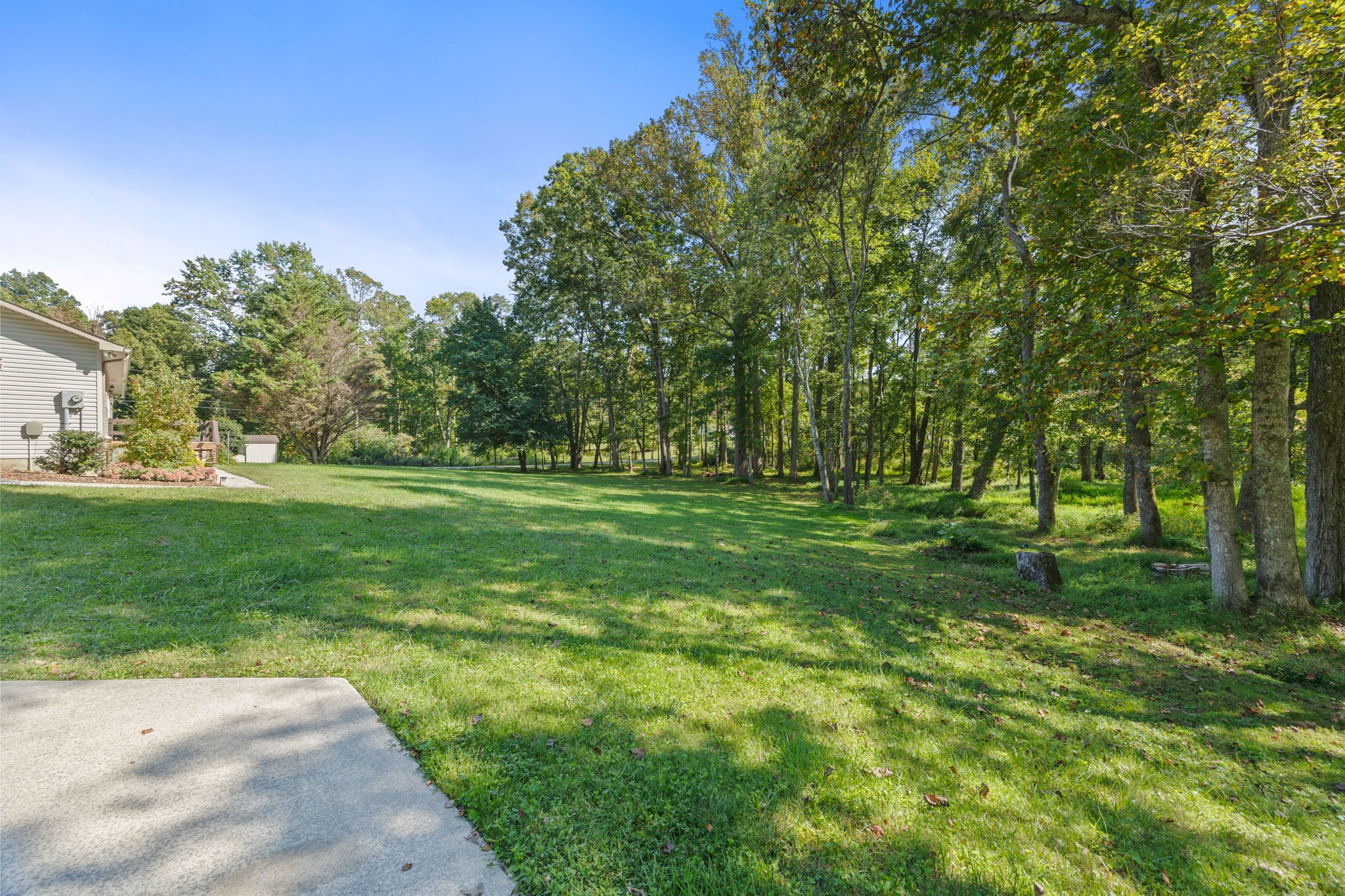 1357 Franklin Loop Clarkrange, TN 38553 - Photo 24 of 37 a view of a grassy field with trees