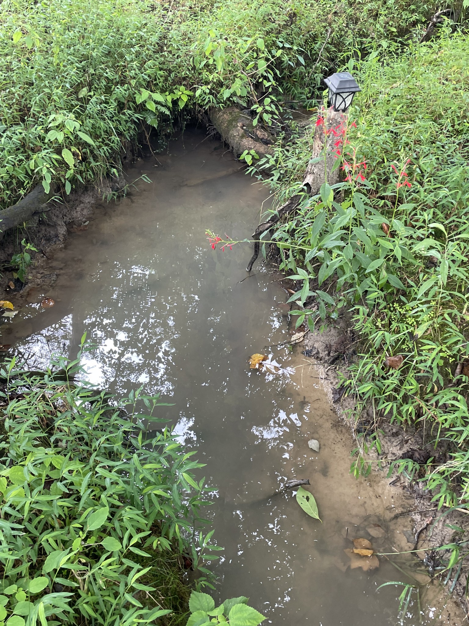 1357 Franklin Loop Clarkrange, TN 38553 - Photo 26 of 37 a backyard of a house