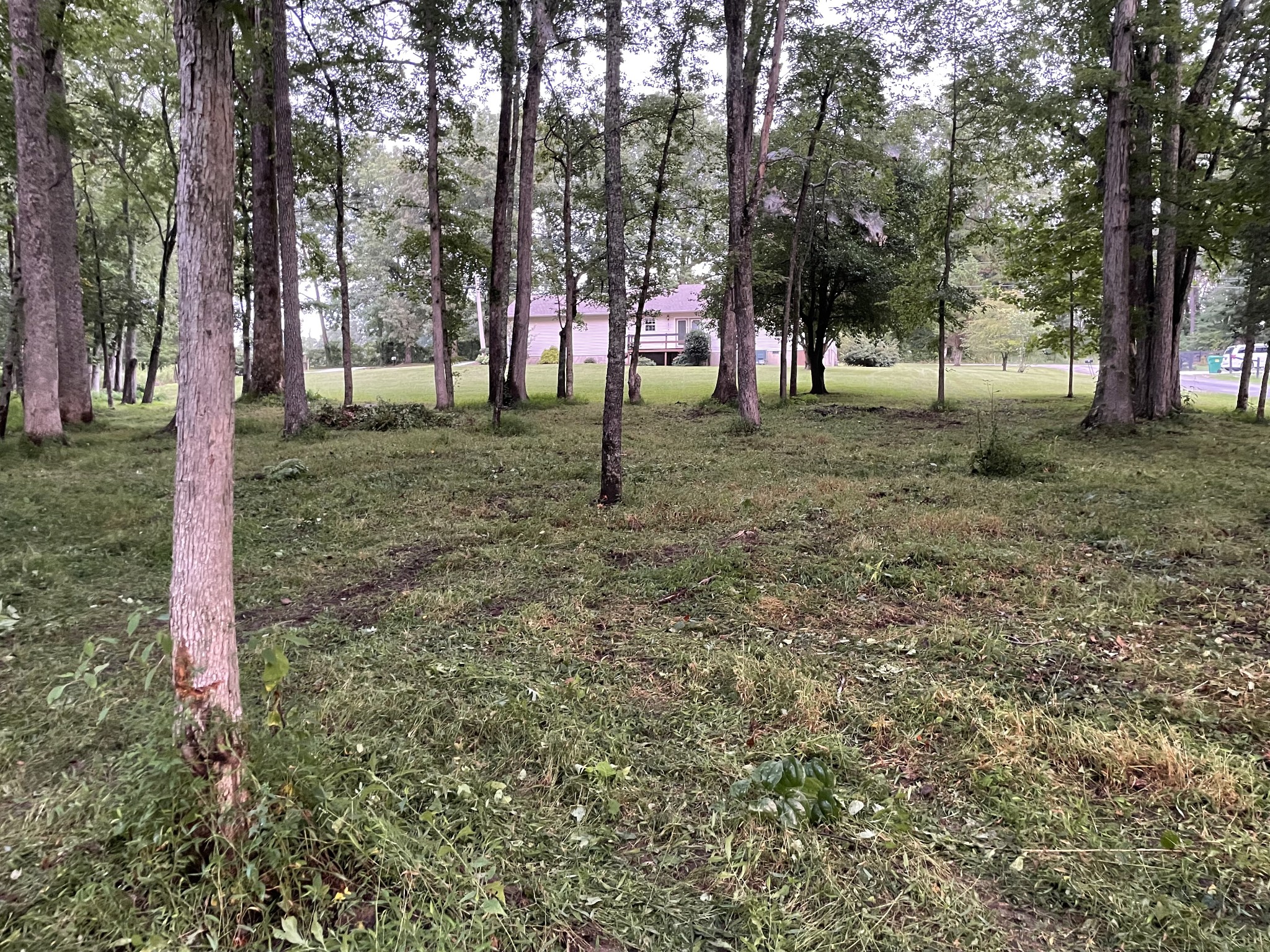 1357 Franklin Loop Clarkrange, TN 38553 - Photo 28 of 37 a view of outdoor space with trees