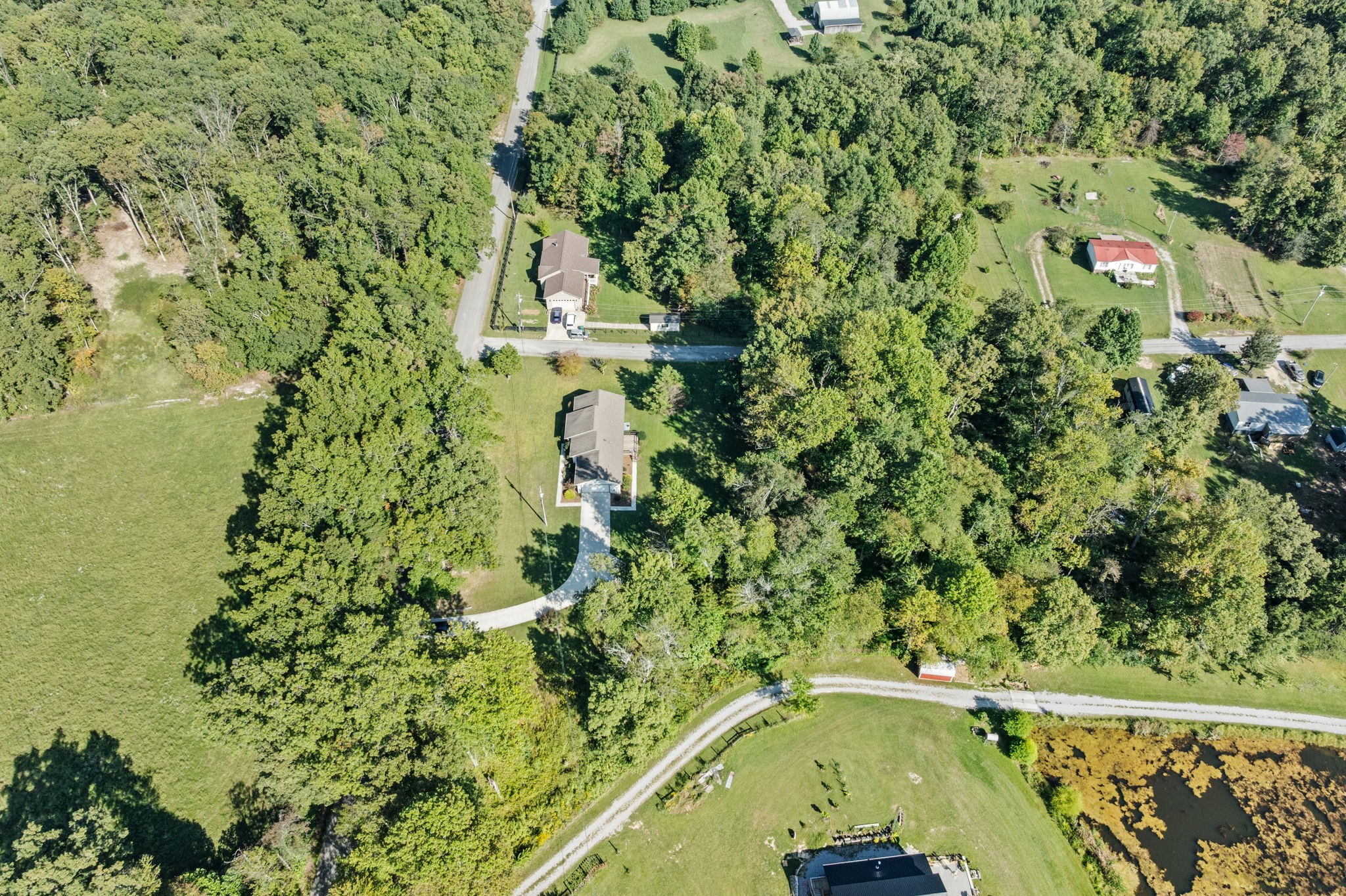 1357 Franklin Loop Clarkrange, TN 38553 - Photo 33 of 37 a picture of a tree