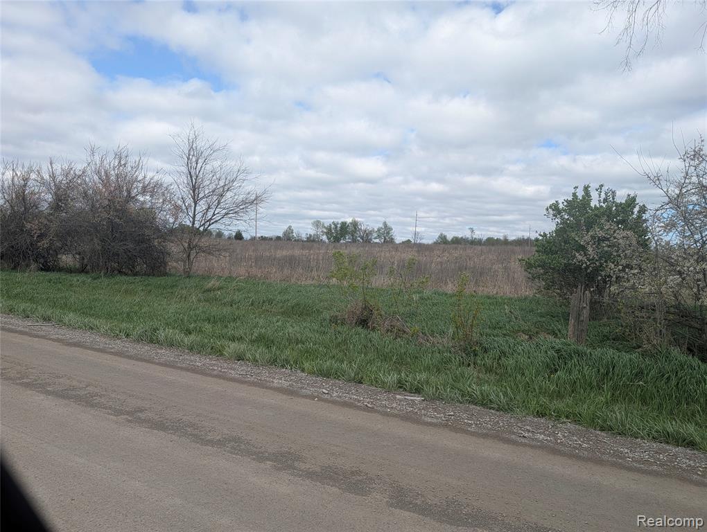 Parcel E Hogan Road Linden, MI 48451 - Photo 4 of 22