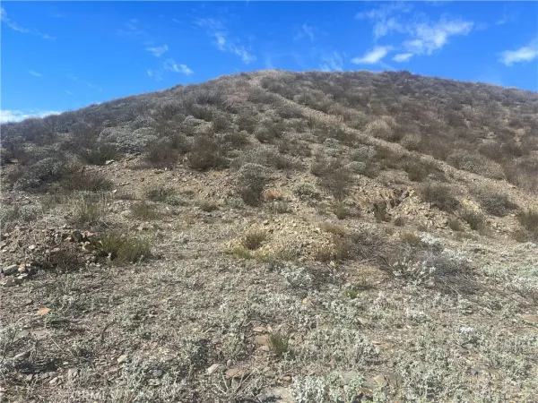 a view of a dry field with trees in the background