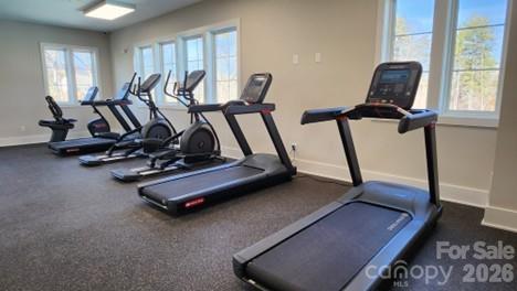 7020 Juneberry Way Maiden, NC 28650 - Photo 24 of 25 a view of a room with gym equipment