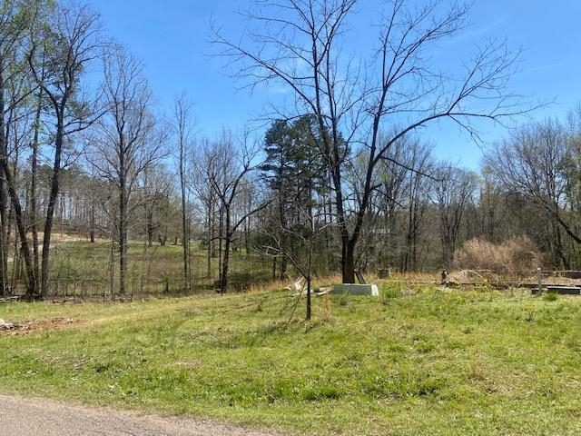 1070 Centerview Road Savannah, TN 38372 - Photo 1 of 9 a backyard of a house with lots of green space