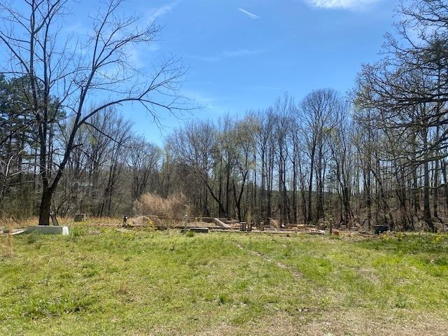 1070 Centerview Road Savannah, TN 38372 - Photo 3 of 9 a view of outdoor space with trees