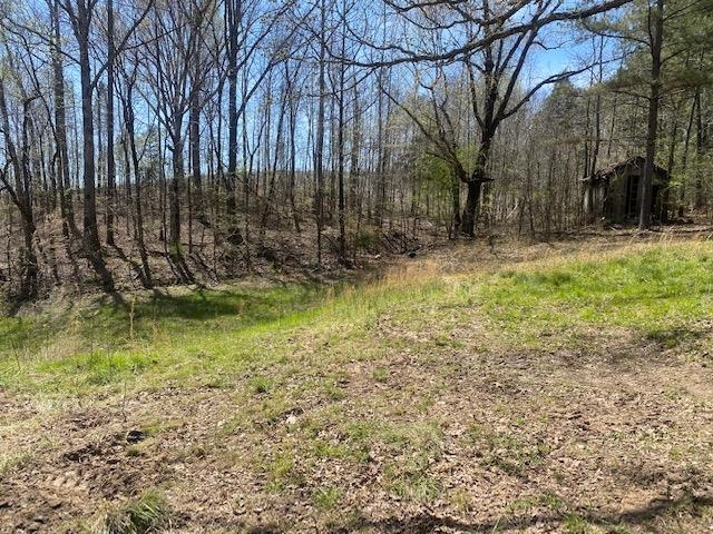 1070 Centerview Road Savannah, TN 38372 - Photo 5 of 9 a view of swimming pool with a yard