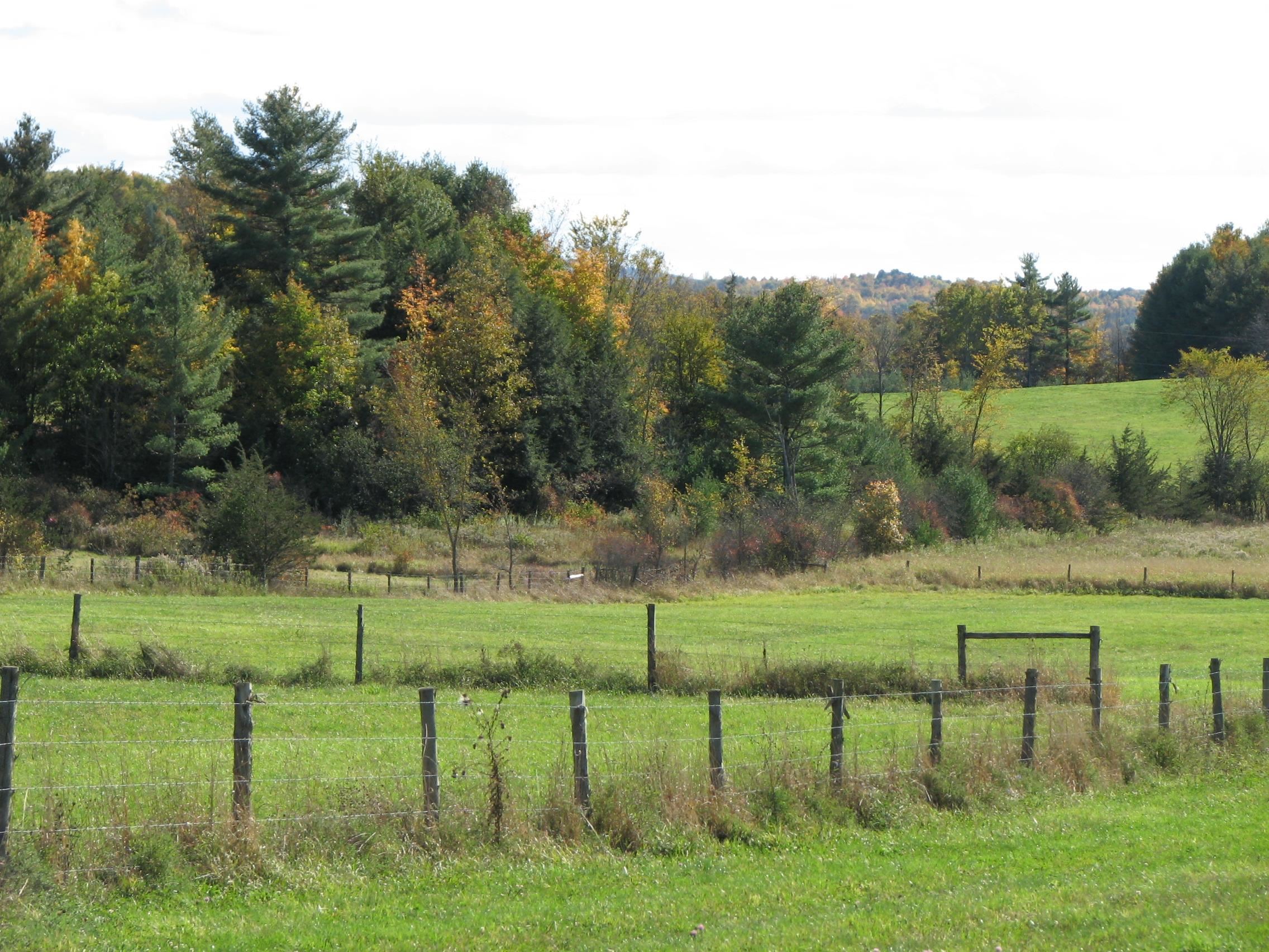 526 Leduc Road New Haven, VT 05472 - Photo 11 of 12 Gallery Image 11