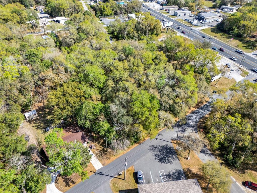 709 South Smith Avenue Inverness, FL 34453 - Photo 11 of 17 a view of a yard with plants