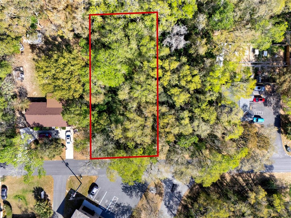 709 South Smith Avenue Inverness, FL 34453 - Photo 12 of 17 an aerial view of a yard with a tree