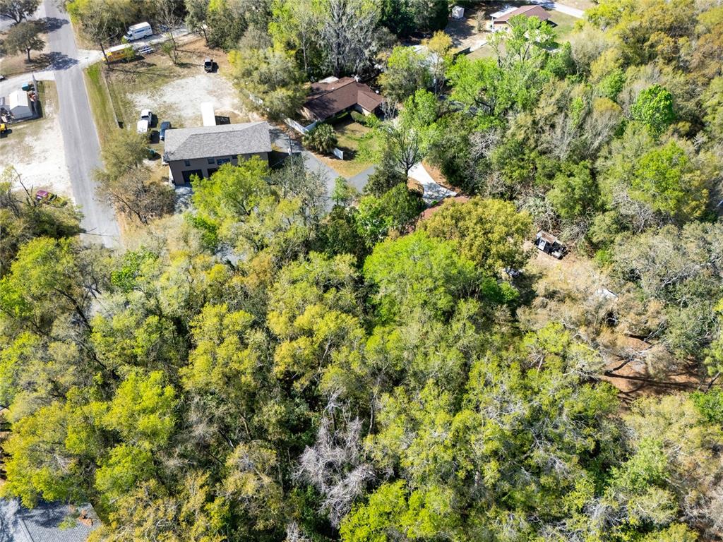 709 South Smith Avenue Inverness, FL 34453 - Photo 14 of 17 a bird view of location