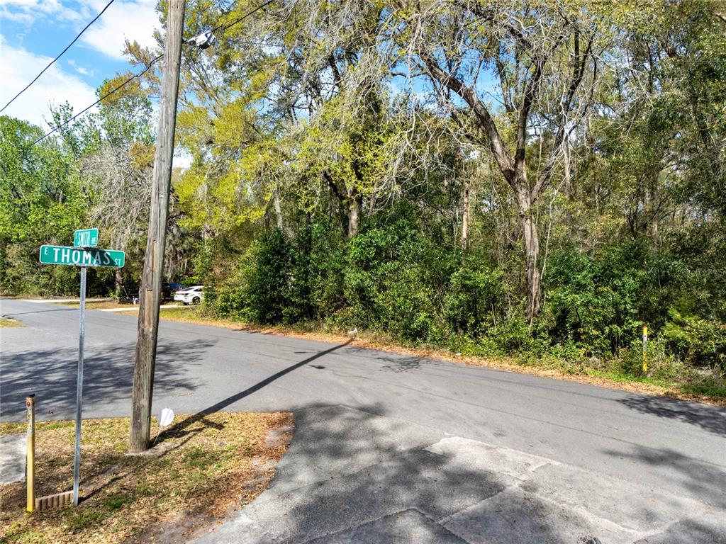709 South Smith Avenue Inverness, FL 34453 - Photo 3 of 17 a view of a yard with plants and trees beside of it