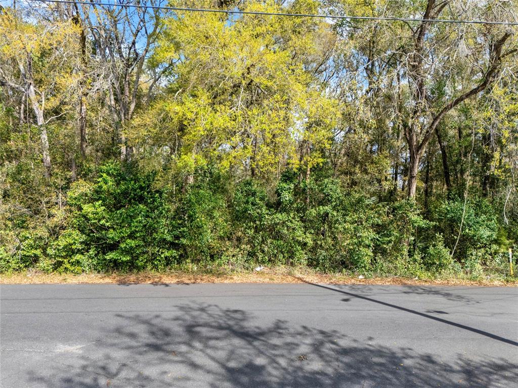 709 South Smith Avenue Inverness, FL 34453 - Photo 5 of 17 a view of a yard with plants and trees in the background