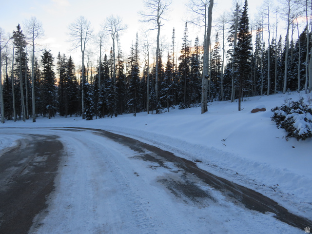6 Tushar Mountain Estates, Unit 6 Beaver, UT 84713 - Photo 7 of 16 Paved road bordered by snow-covered grounds and a dense forest of evergreen and deciduous trees