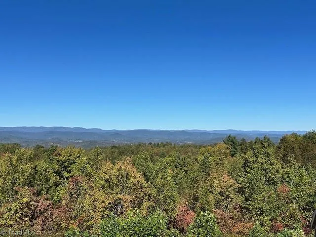 $35,000 | Lot 19 Longview Bluffs, Boomer, NC 28606