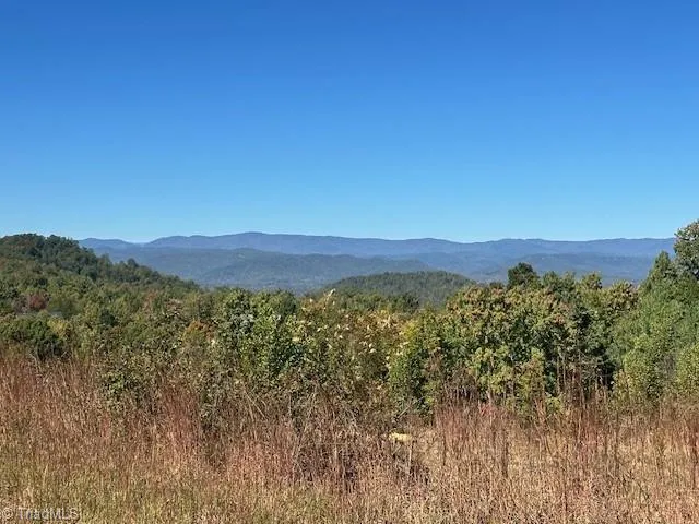 $35,000 | Lot 19 Longview Bluffs, Boomer, NC 28606