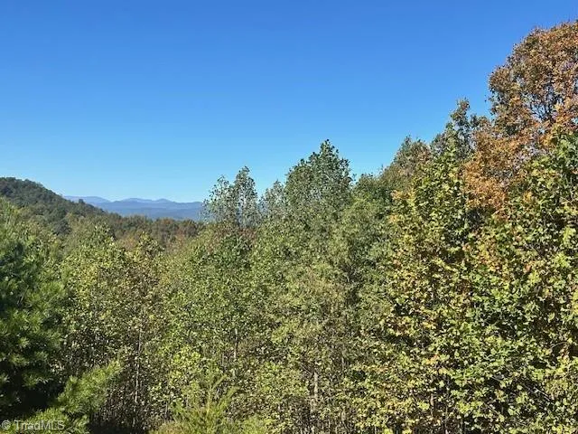 $35,000 | Lot 19 Longview Bluffs, Boomer, NC 28606