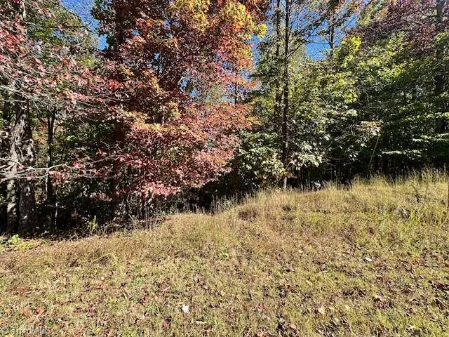 $35,000 | Lot 19 Longview Bluffs, Boomer, NC 28606