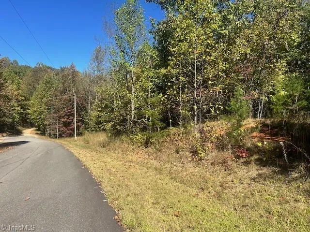 $35,000 | Lot 19 Longview Bluffs, Boomer, NC 28606