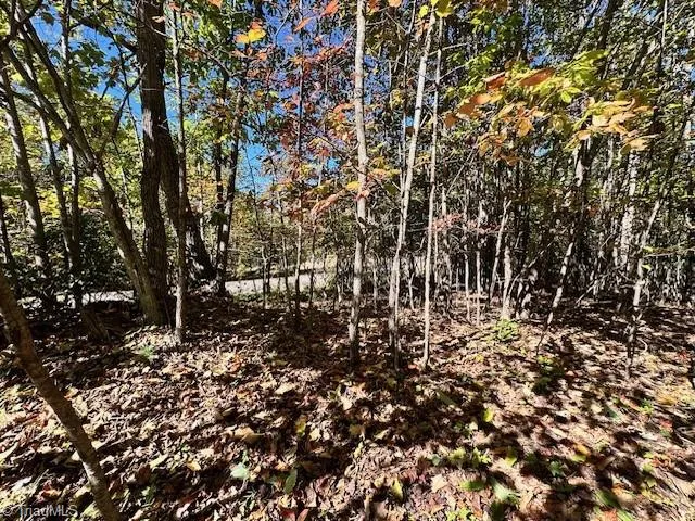 $35,000 | Lot 19 Longview Bluffs, Boomer, NC 28606