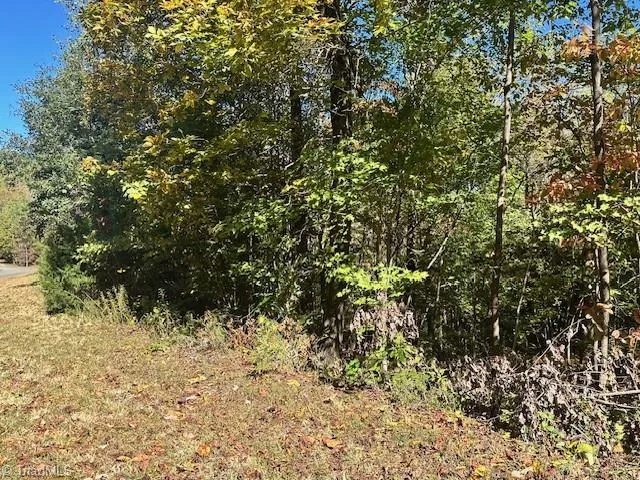 $35,000 | Lot 19 Longview Bluffs, Boomer, NC 28606