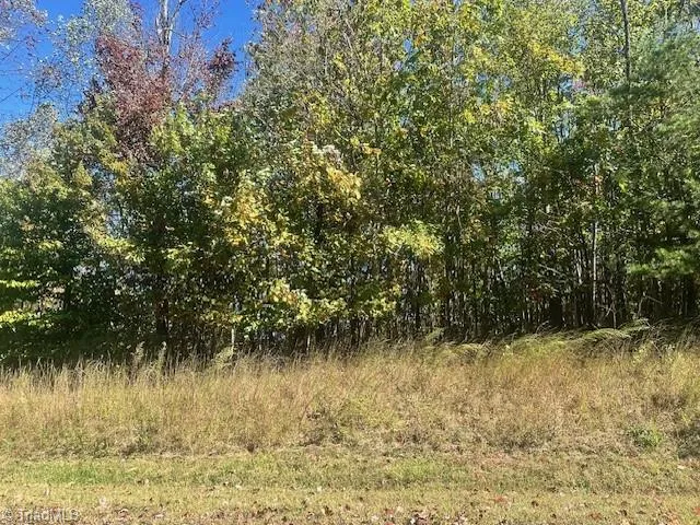 $35,000 | Lot 19 Longview Bluffs, Boomer, NC 28606