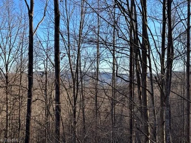 $35,000 | Lot 19 Longview Bluffs, Boomer, NC 28606