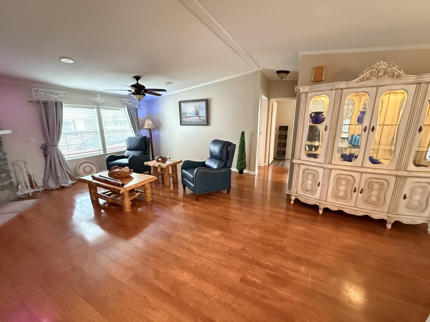 69 Petunia Circle Matteson, IL 60443 - Photo 19 of 25 a living room with furniture and a large window