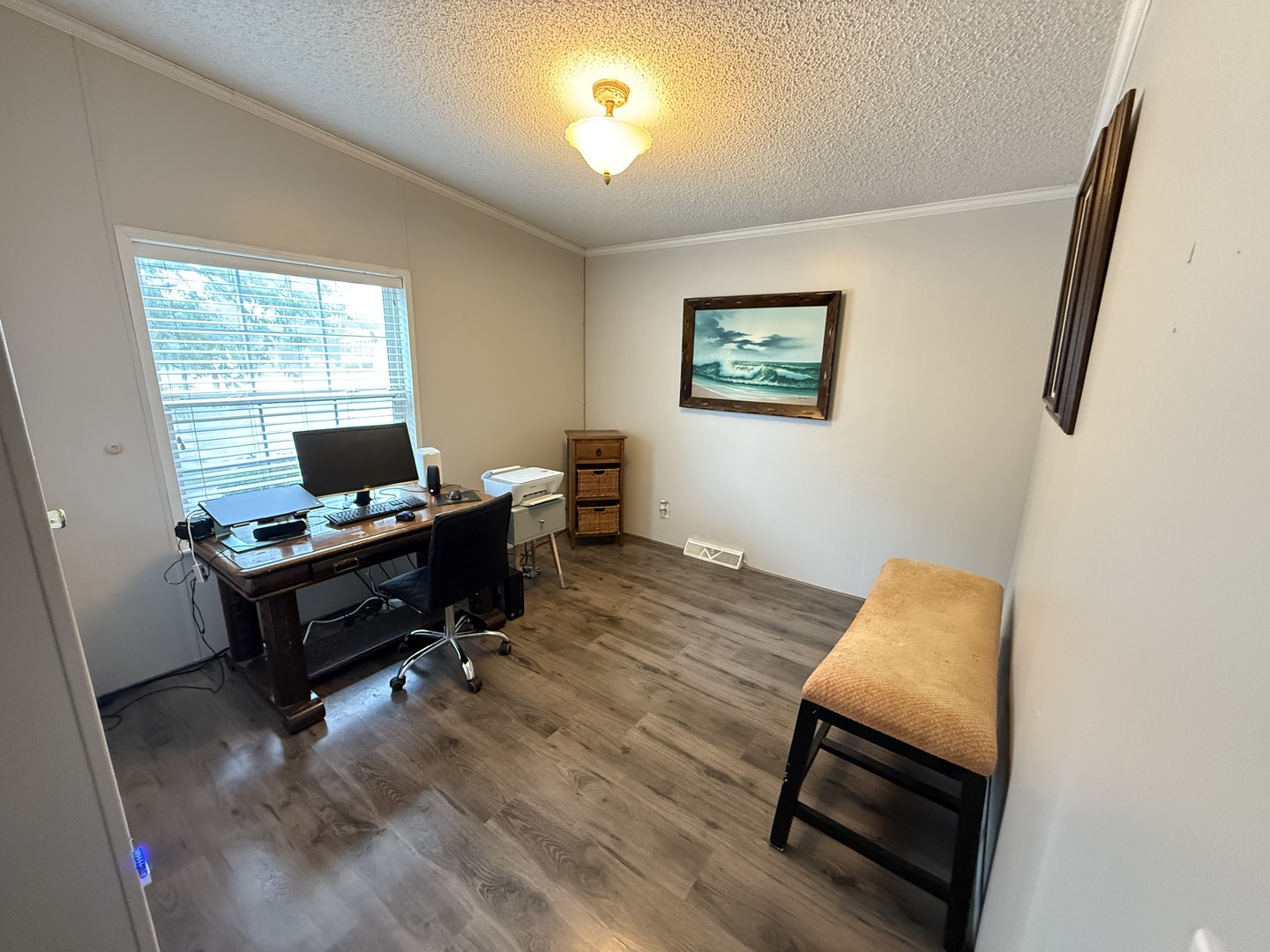 69 Petunia Circle Matteson, IL 60443 - Photo 5 of 25 a living room with furniture and a window