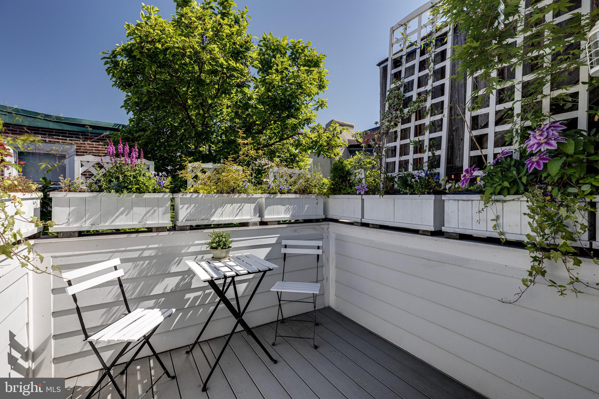 2051 Appletree Street Philadelphia, PA 19103 - Photo 29 of 36 Sunlit third-floor deck with flowering planters