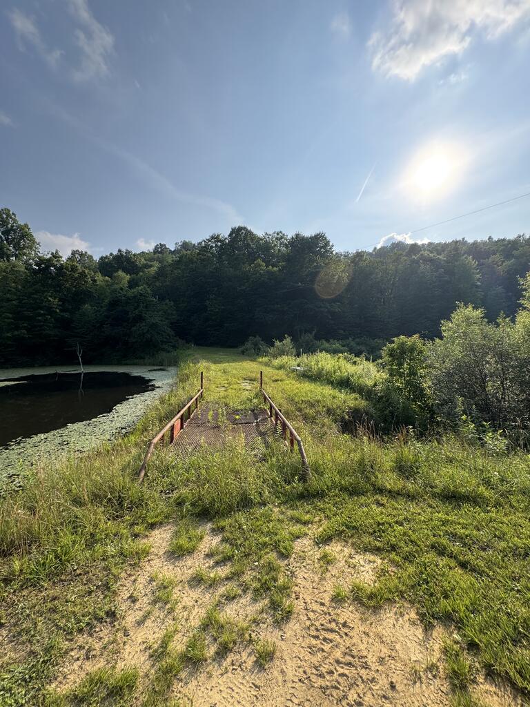 370 Willowbranch Road Daniels, WV 25832 - Photo 37 of 39 Gallery Image 37