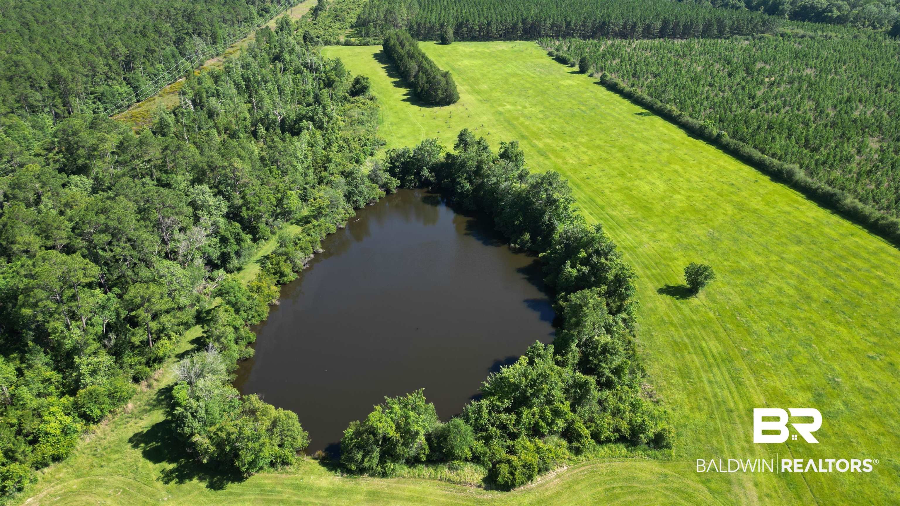 0 County Road 87 Elberta, AL 36530 - Photo 3 of 46