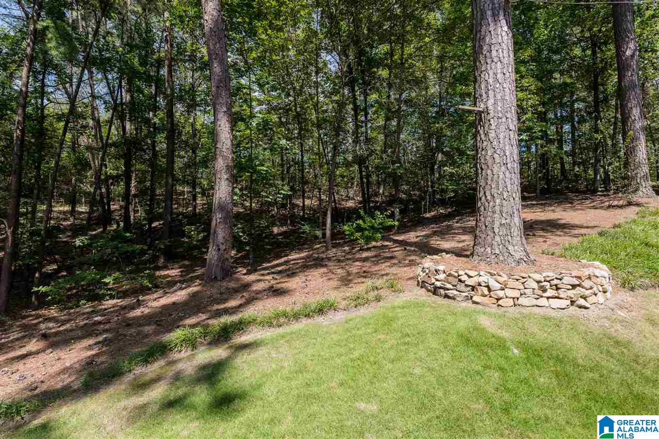 465 Pineway Drive Birmingham, AL 35226 - Photo 36 of 49