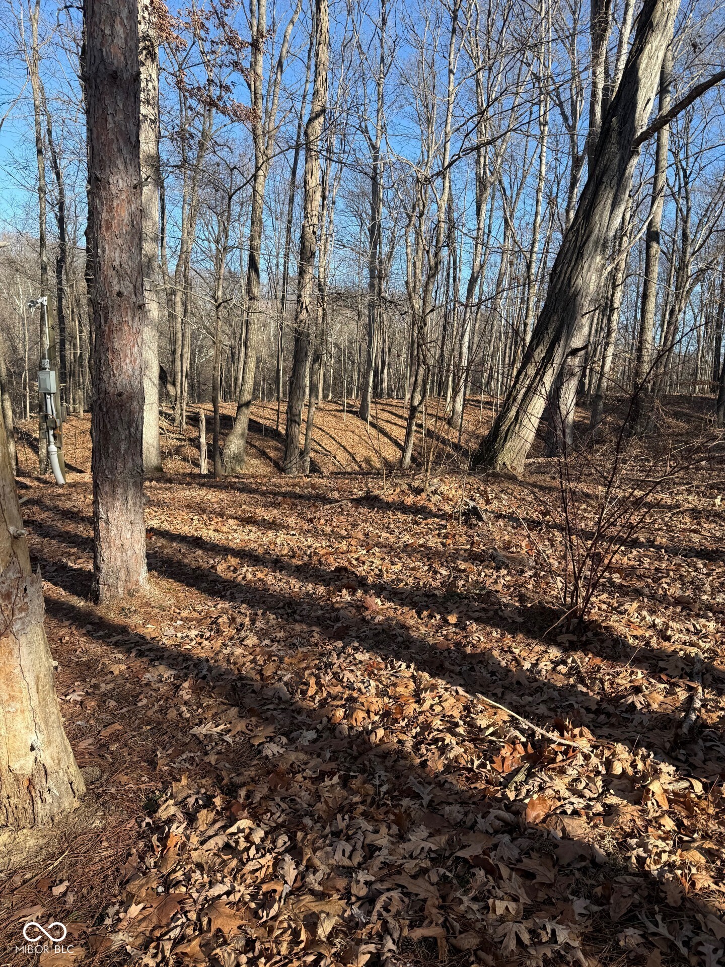 2154 Hornettown Road Morgantown, IN 46160 - Photo 29 of 35