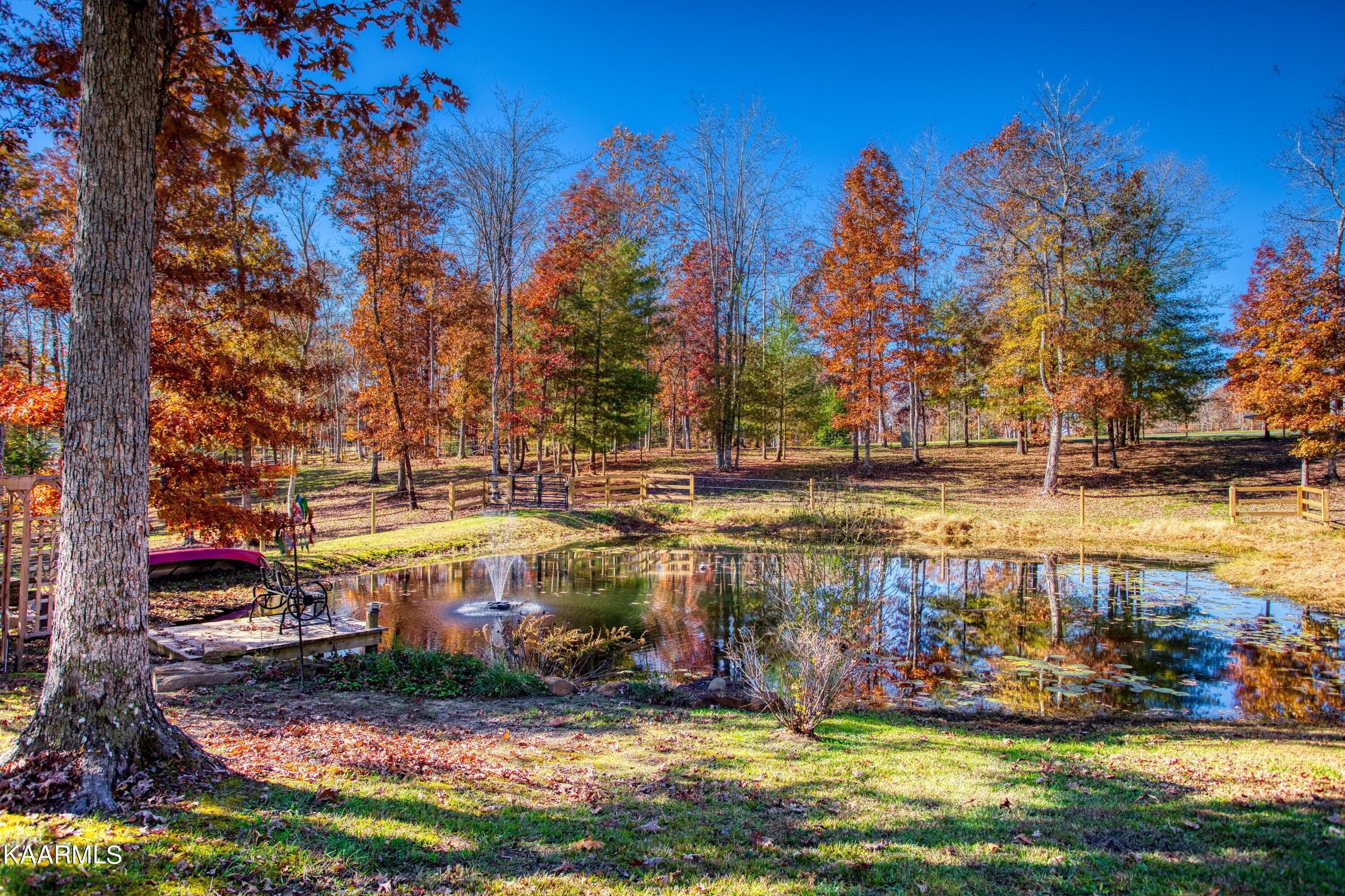 328 Briar Point Road Allardt, TN 38504 - Photo 2 of 14 EK3A4981