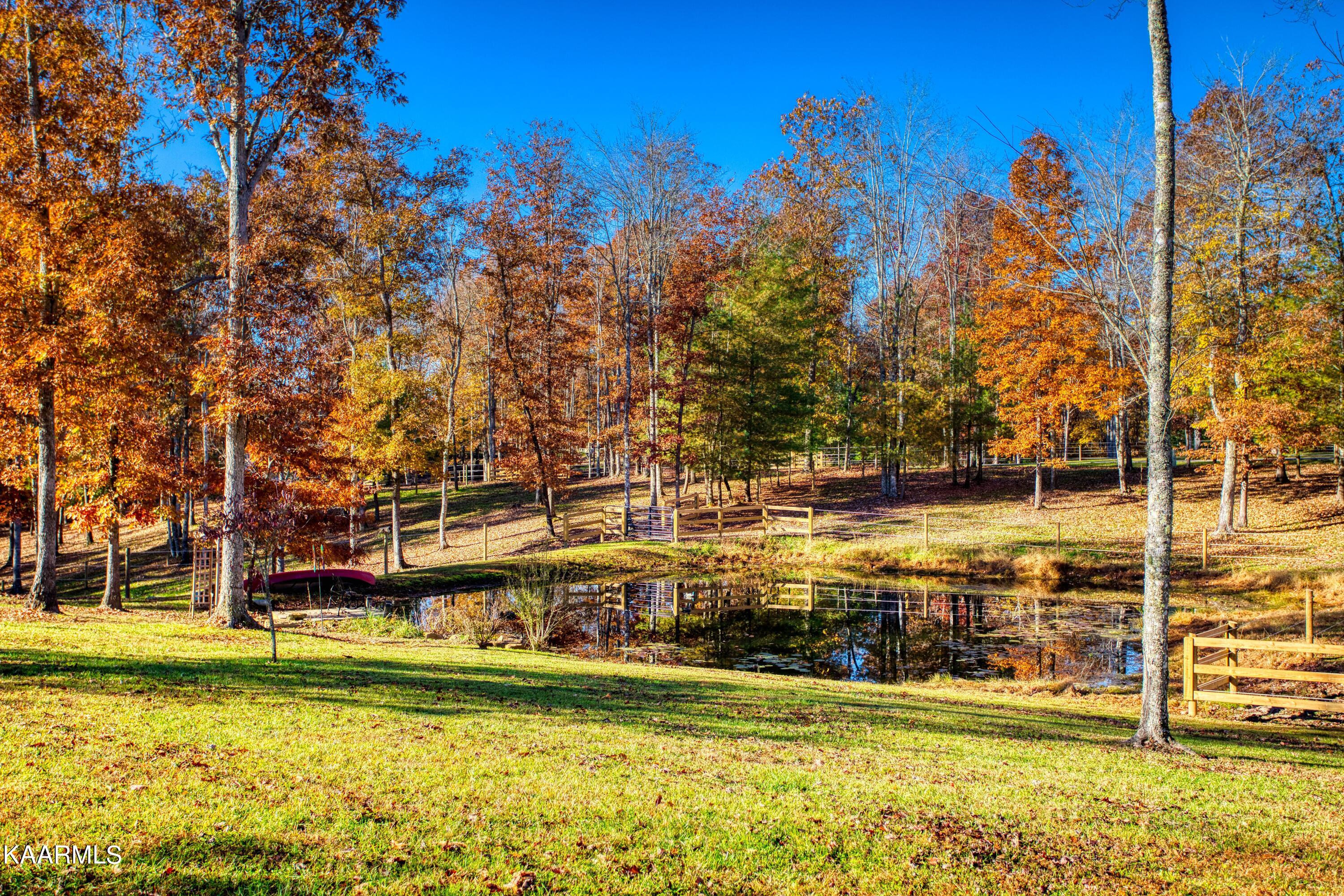 328 Briar Point Road Allardt, TN 38504 - Photo 14 of 14 EK3A4858