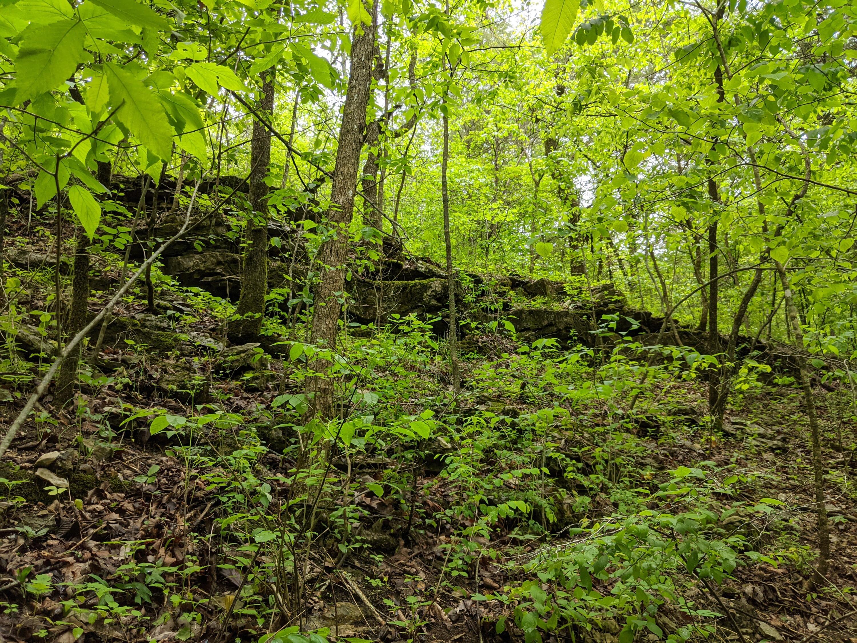 0 Coyote Ridge Road Cassville, MO 65625 - Photo 19 of 36 PXL_20210522_182005815.MP