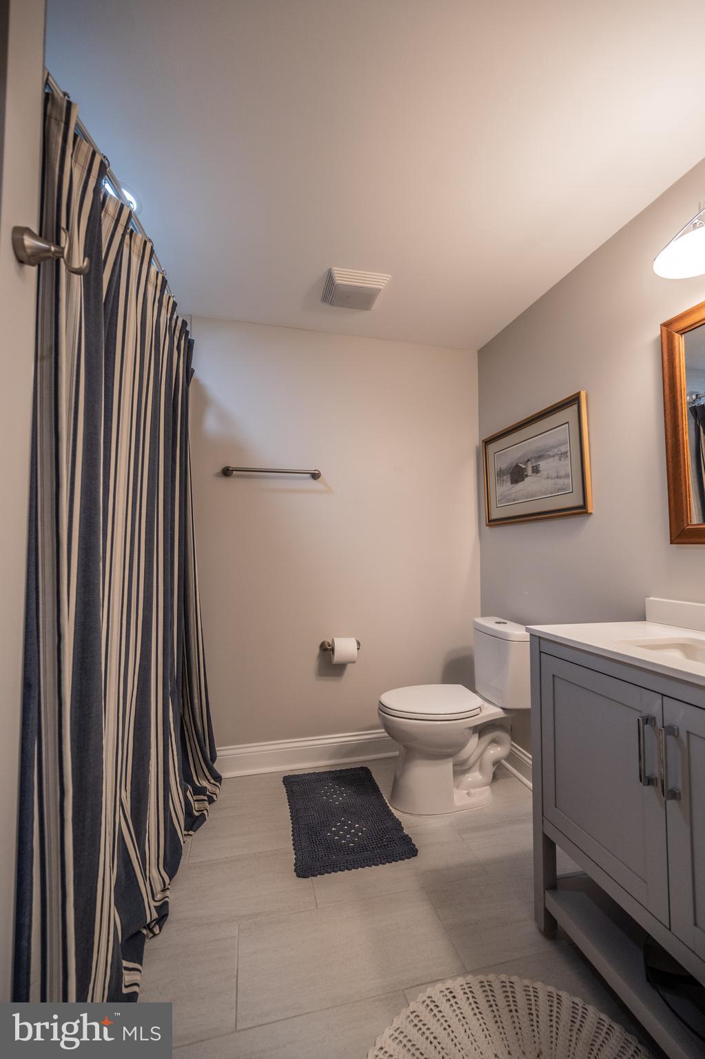 454 Pine Grove Road Bluemont, VA 20135 - Photo 40 of 50 upstairs bath 1