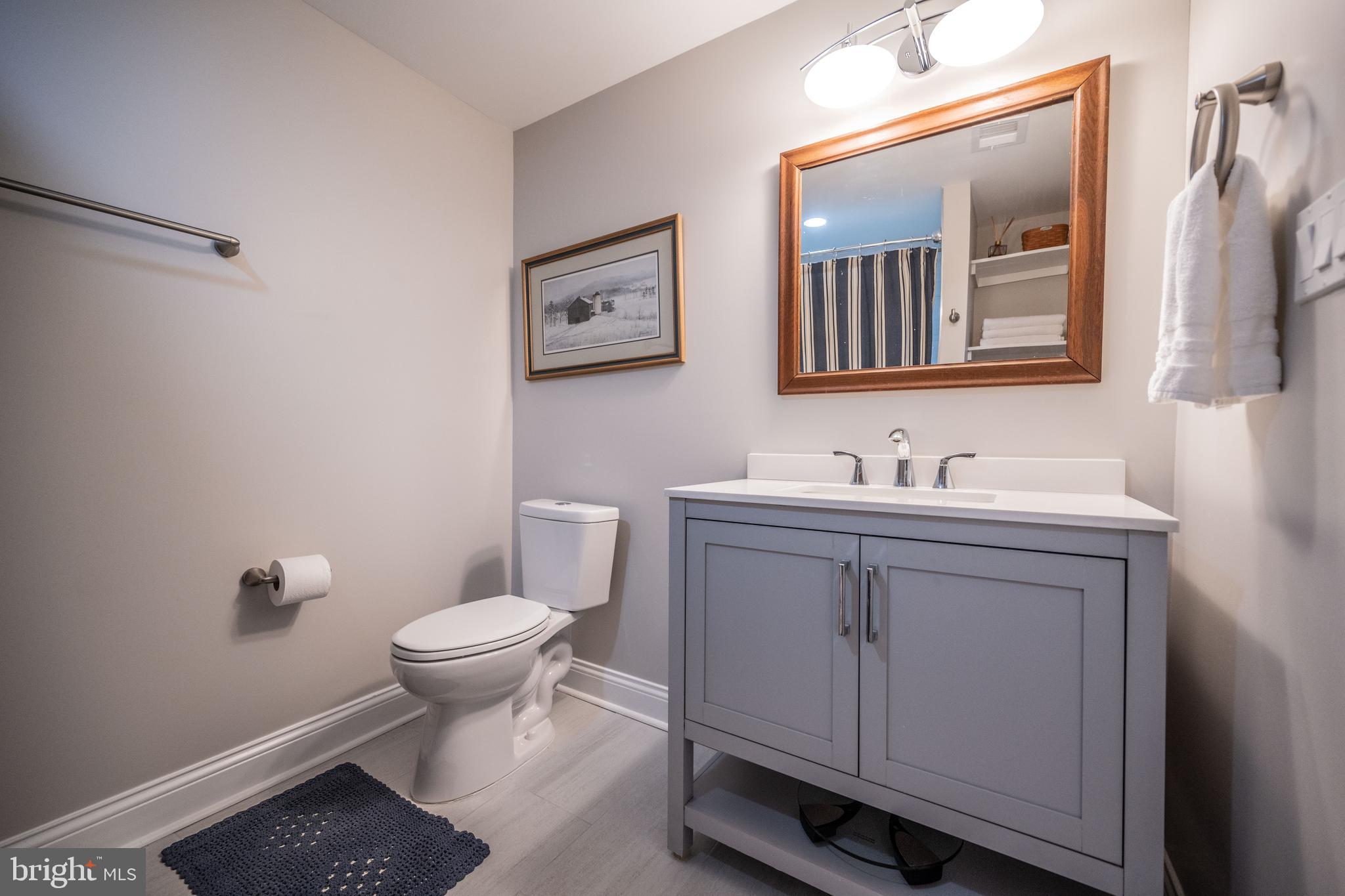 454 Pine Grove Road Bluemont, VA 20135 - Photo 41 of 50 upstairs bath 2