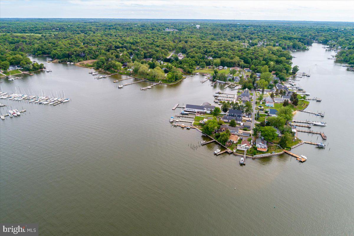 1312 Tuggies Road Pasadena, MD 21122 - Photo 64 of 75 a view of a lake with a mountain in the background