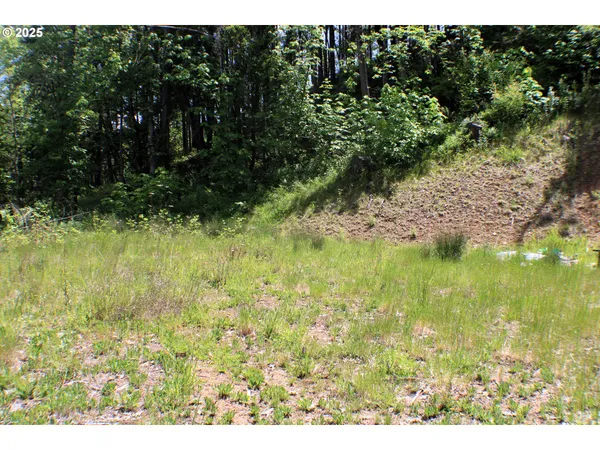 $38,900 | 1482 Canyonville-Riddle Road, Riddle, OR 97469
