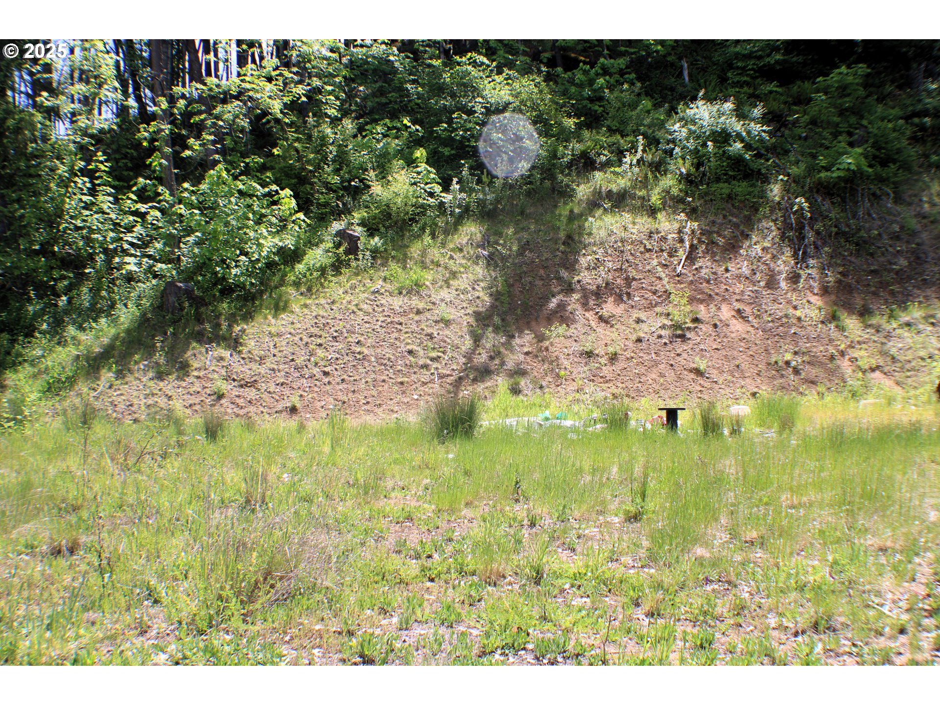 1482 Canyonville-Riddle Road Riddle, OR 97469 - Photo 2 of 4 a view of a lake view